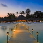 XF-6017 Solar Flame LED Light Lamp Enhance Your Outdoors With Stunning Decoration - Image 3